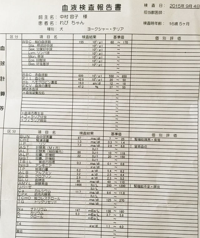 2015-9-5-2.JPG